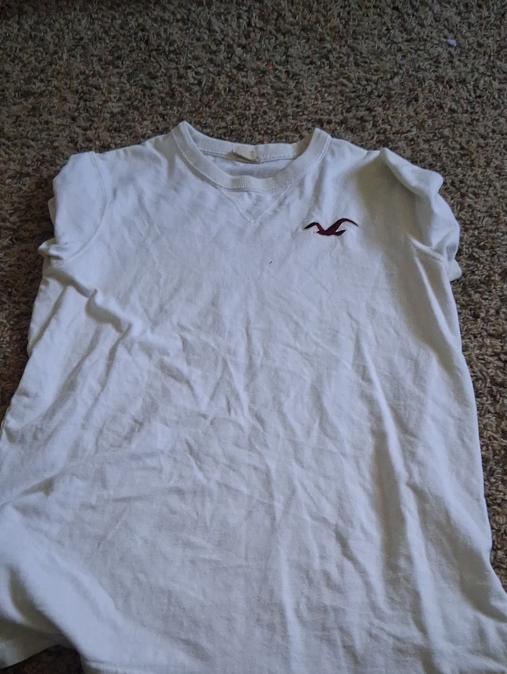 Hollister White Crew Tee with Maroon Seagull Logo